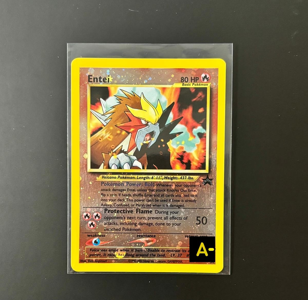 20913 Entei PR (EN)