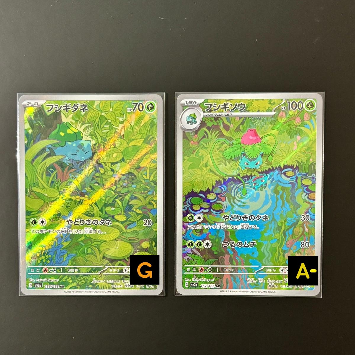 20918 Bulbasaur AR set *2 cards