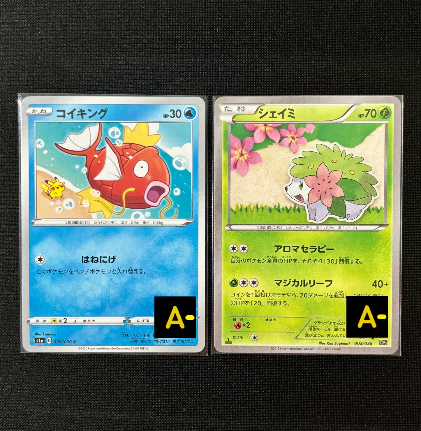 30802 Magikarp C[S1a 020/070]/ Shaymin :1ED [CP5 003/036]
