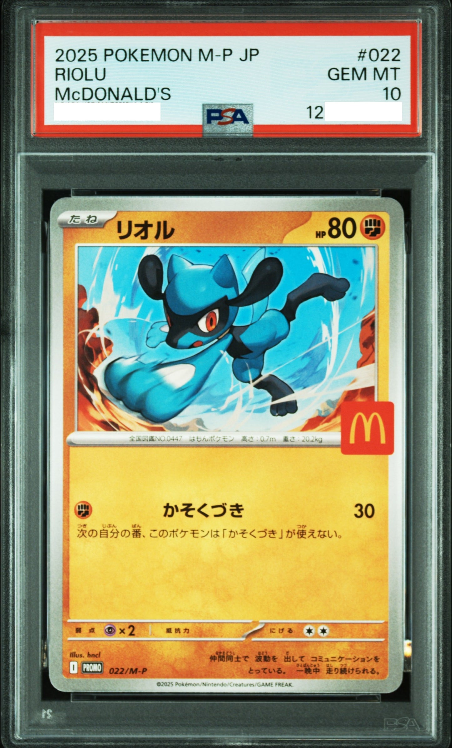 60930 PSA10 #022 RIOLU
