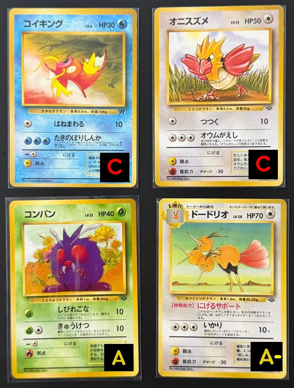 111010 Spearow, Venonat, Dodrio, Magikarp: Old Back