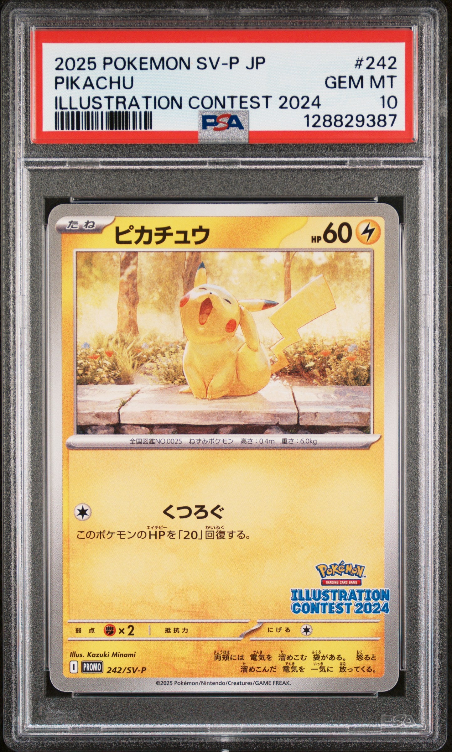 120736 pikachu illustration contest 2024 psa10