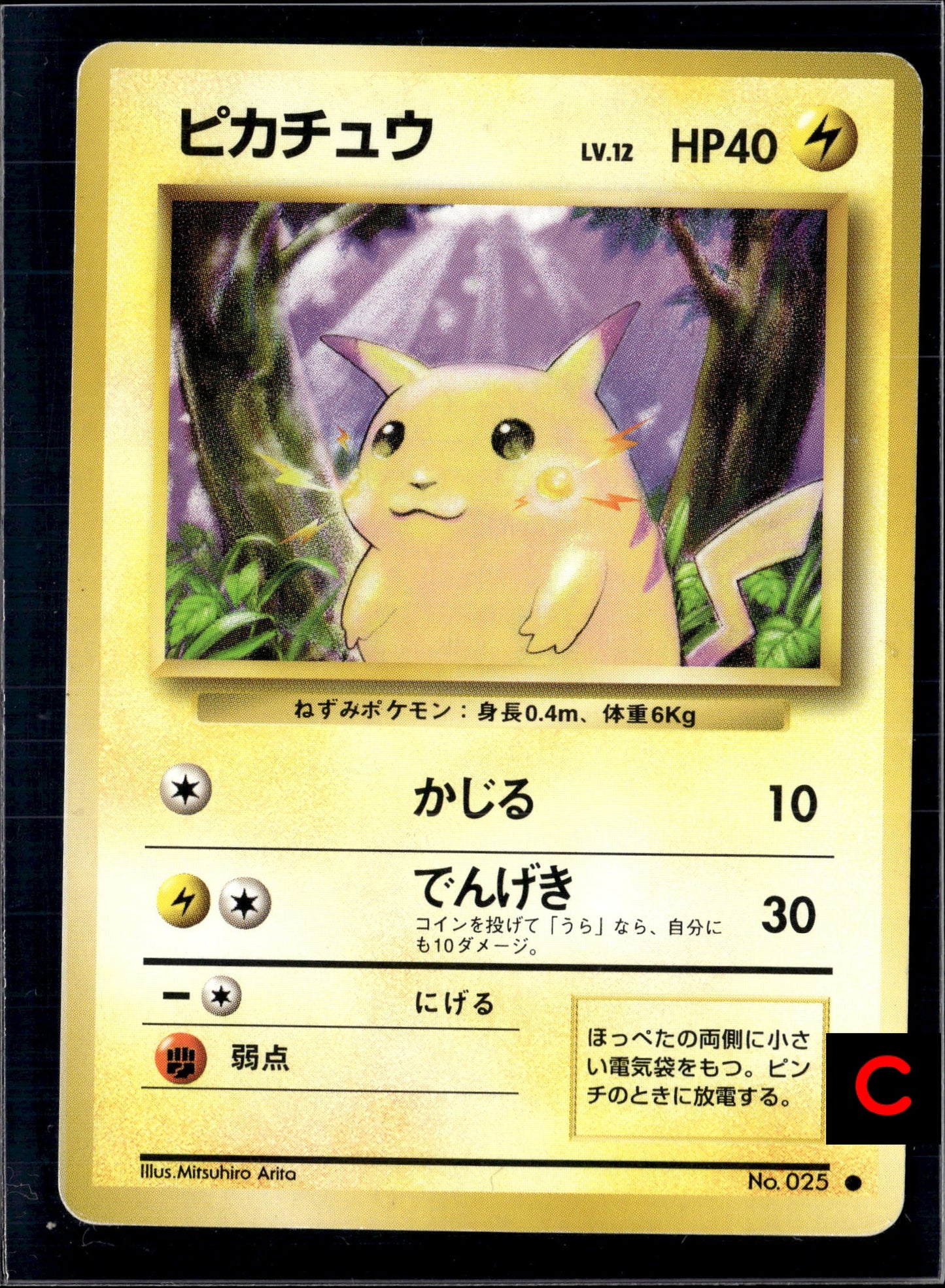 Pikachu LV.12 025 old back Japanese