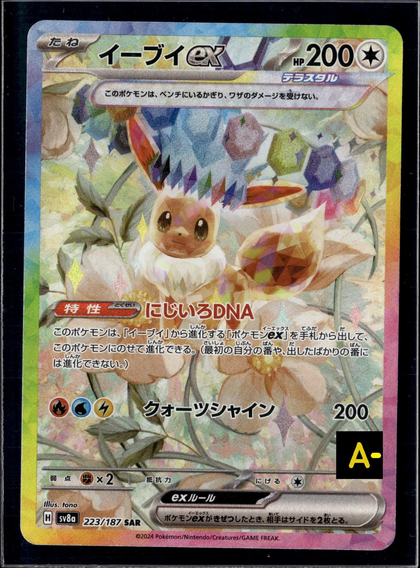 231116 Auction sv8a 223/187 SAR