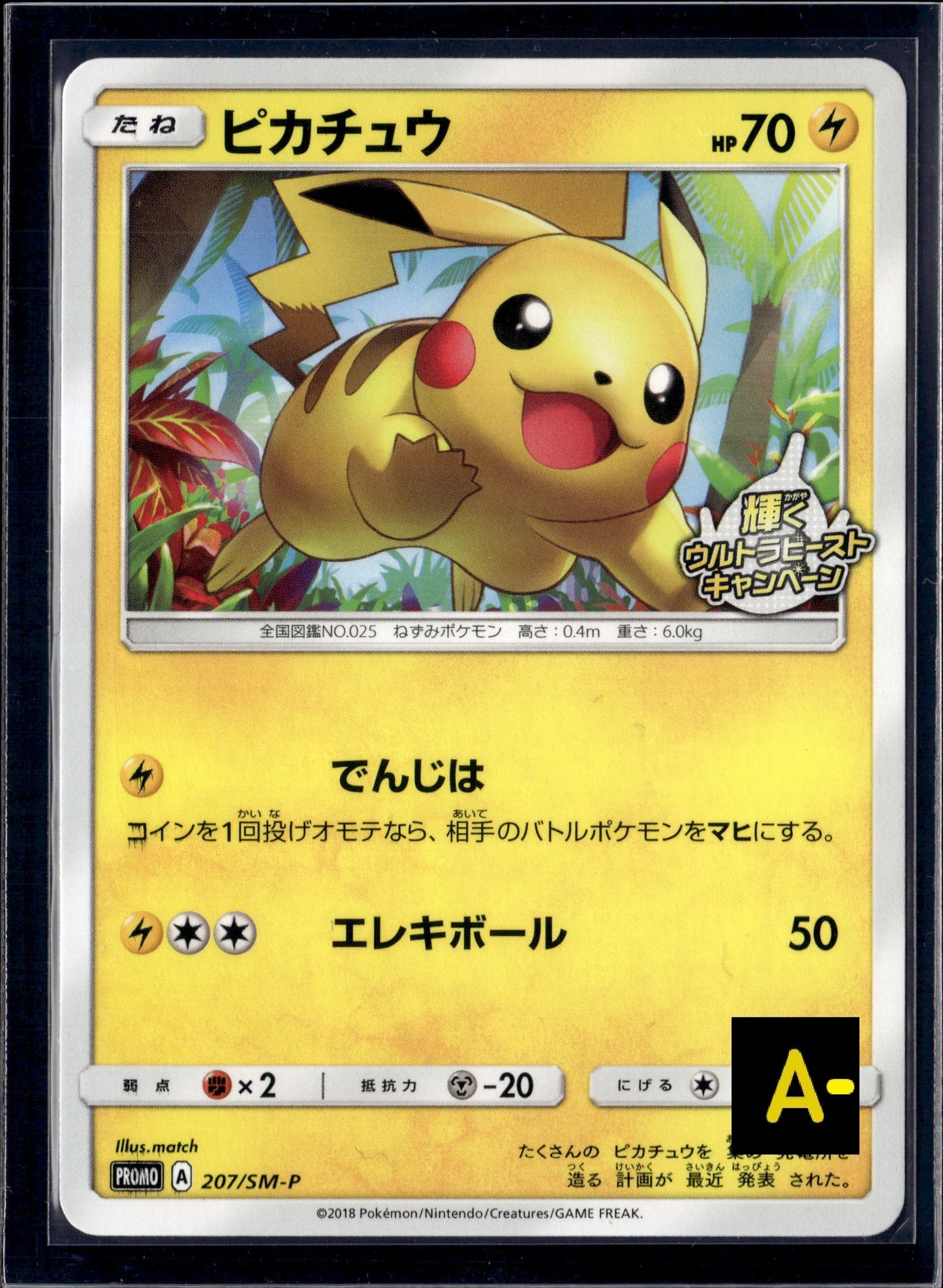 070627 207/Sm-P 2018 Pikachu Promo
