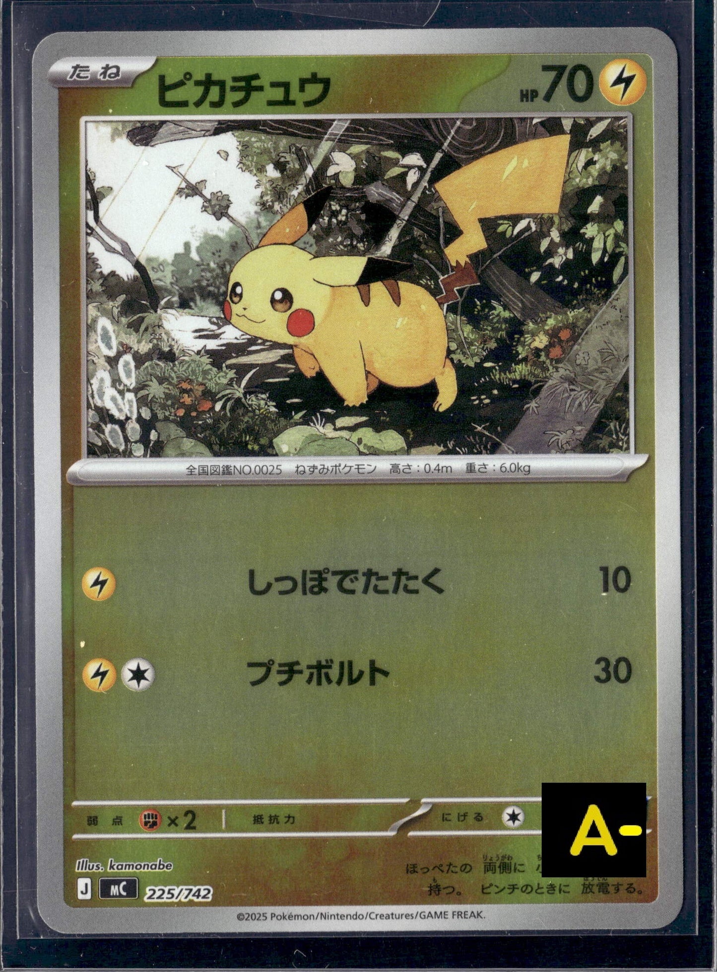 070634 MC 225/742 Pikachu