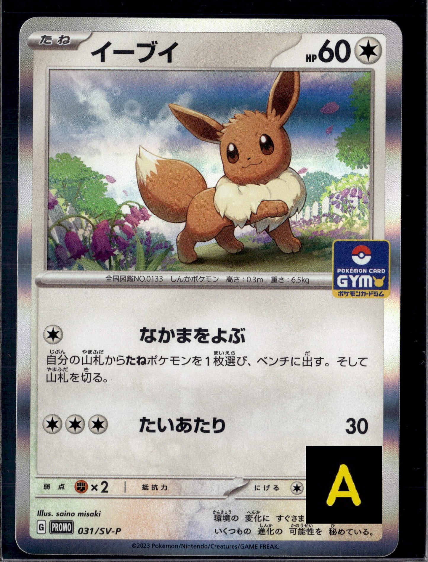 260721 Eevee: PROMO [SV-P 031]