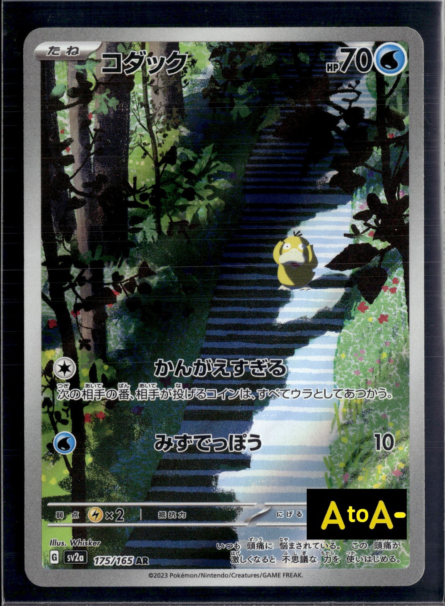 30828 Psyduck AR[SV2a 175/165]