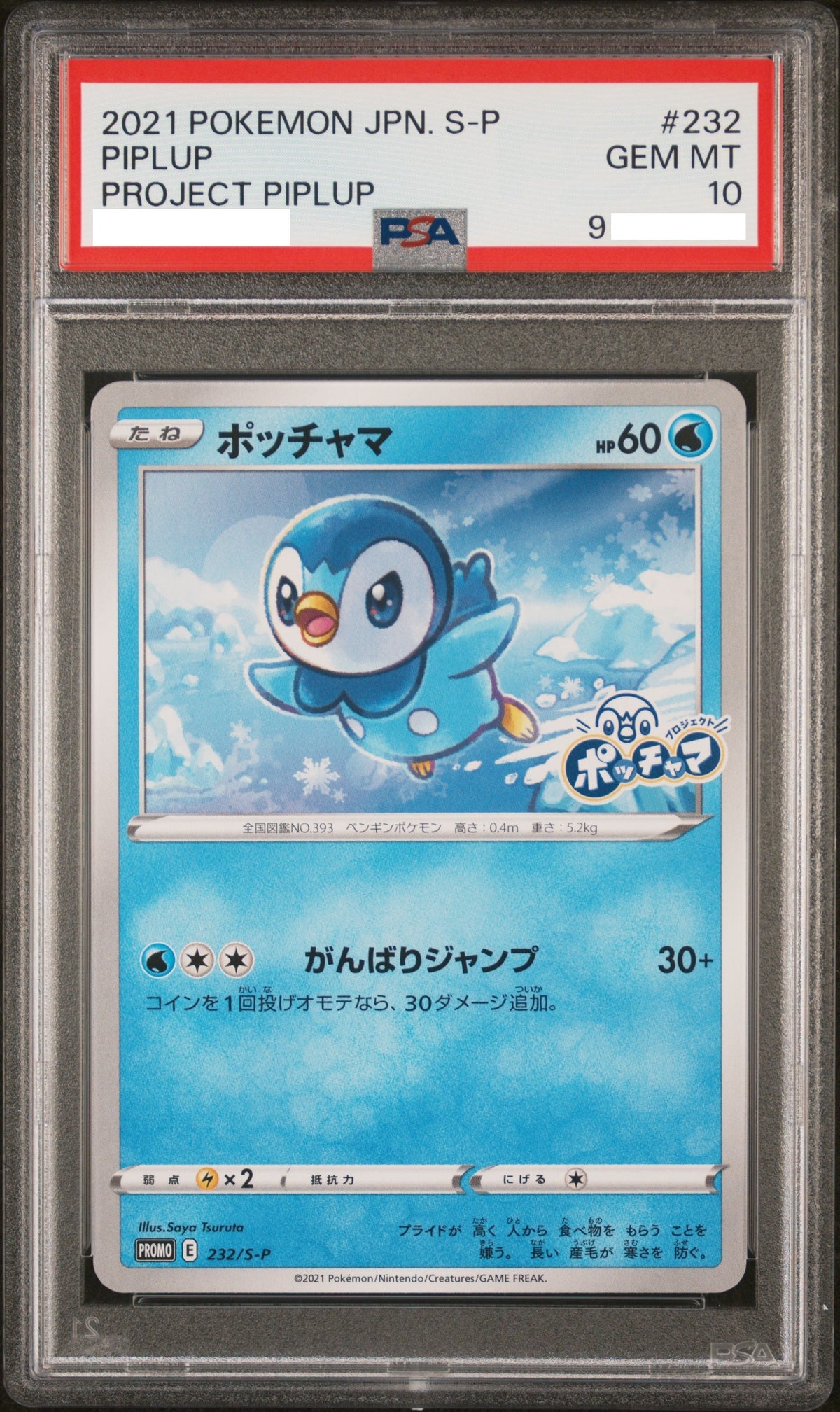210929 PSA10 #232 PIPLUP PROJECT PIPLUP