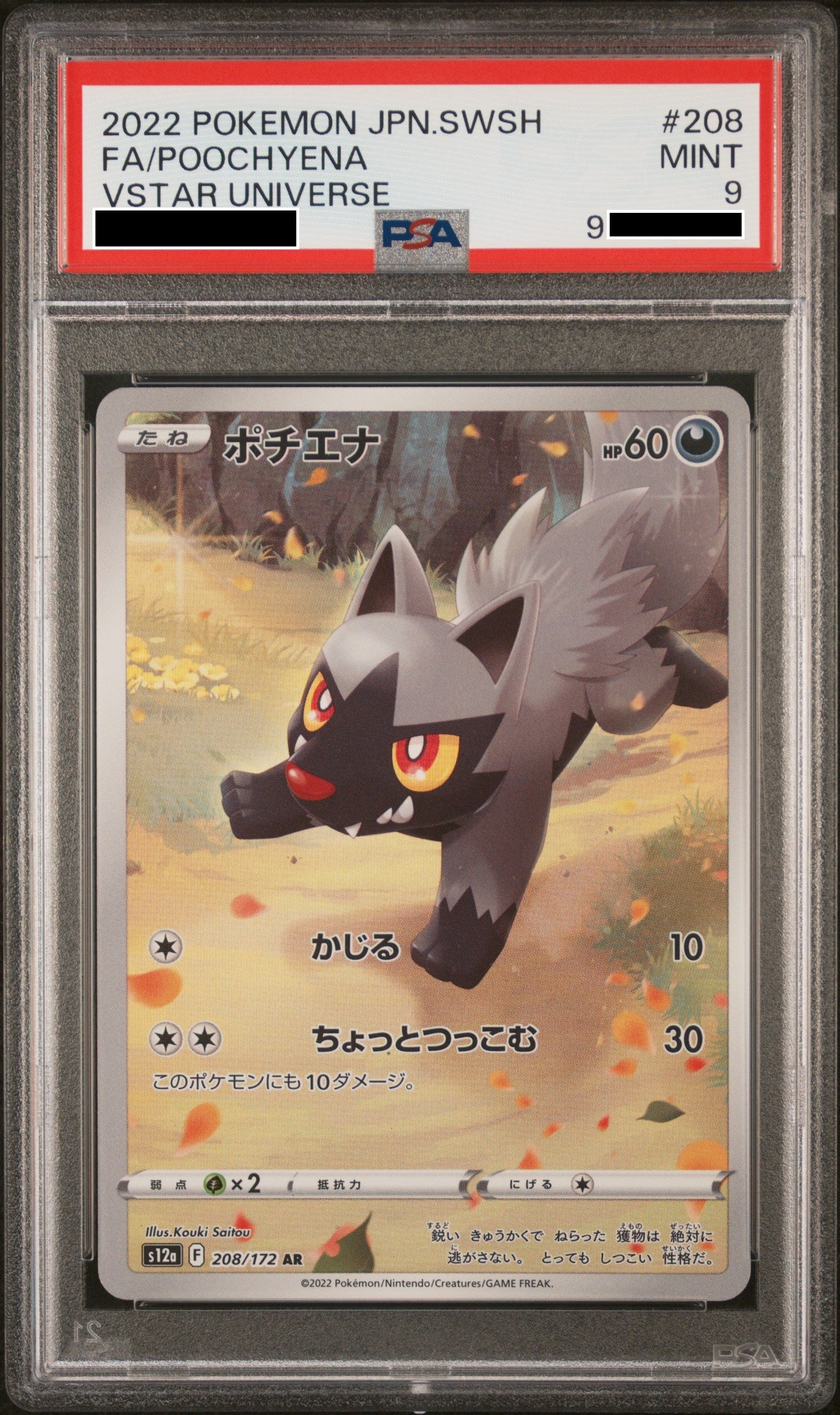 230827 PSA9 S12a Poochyena #208