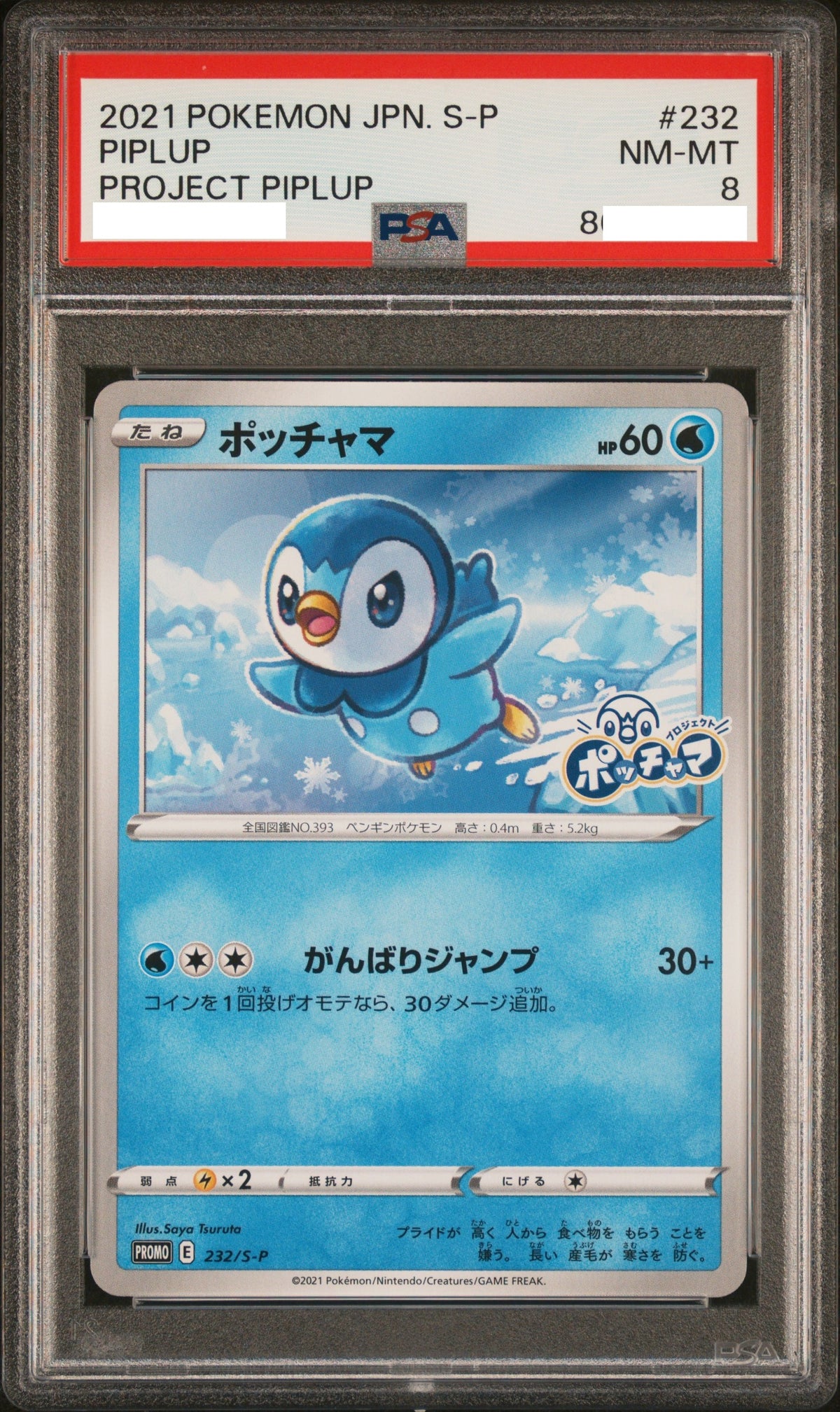 240901 PSA8 #232 PIPLUP PROJECT PIPLUP
