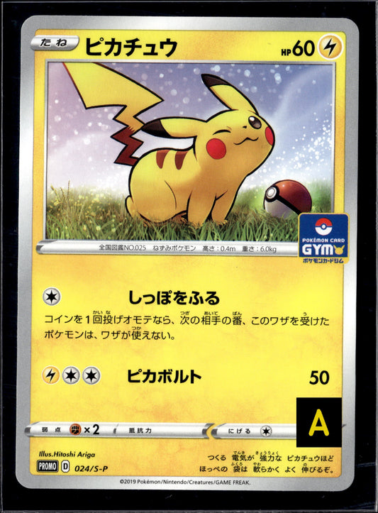 25814 Auction Pikachu promo 024/s-p GYM