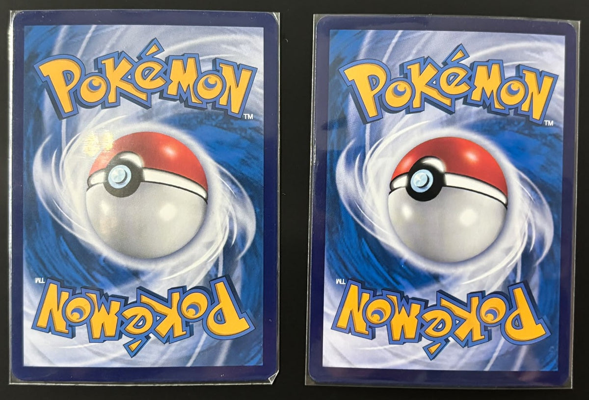 261004 Chinese Trainer *2 cards